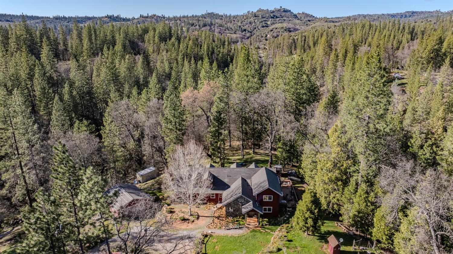 6145 Swiss Ranch Road Mountain Ranch, CA 95246 - Photo 69 of 84 a view of a forest with a tree
