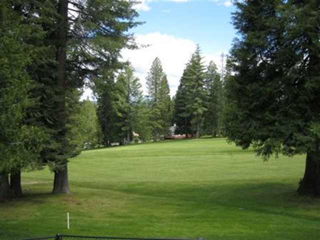 1020 Timber Ridge Road Lake Almanor, CA 96137 - Photo 3 of 9