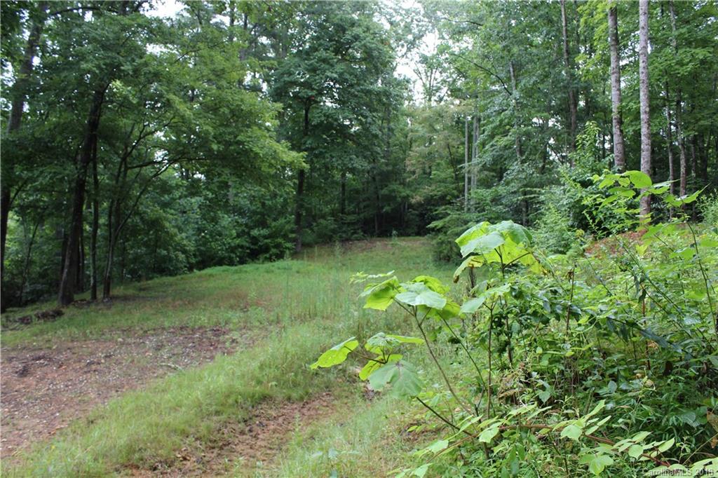 243 Bob Barnwell Road, Unit 3 Fletcher, NC 28732 - Photo 5 of 6 Gallery Image 5