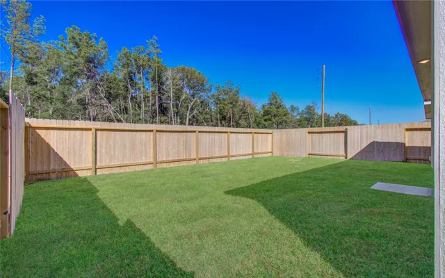 a view of a backyard with grass and a palm tree