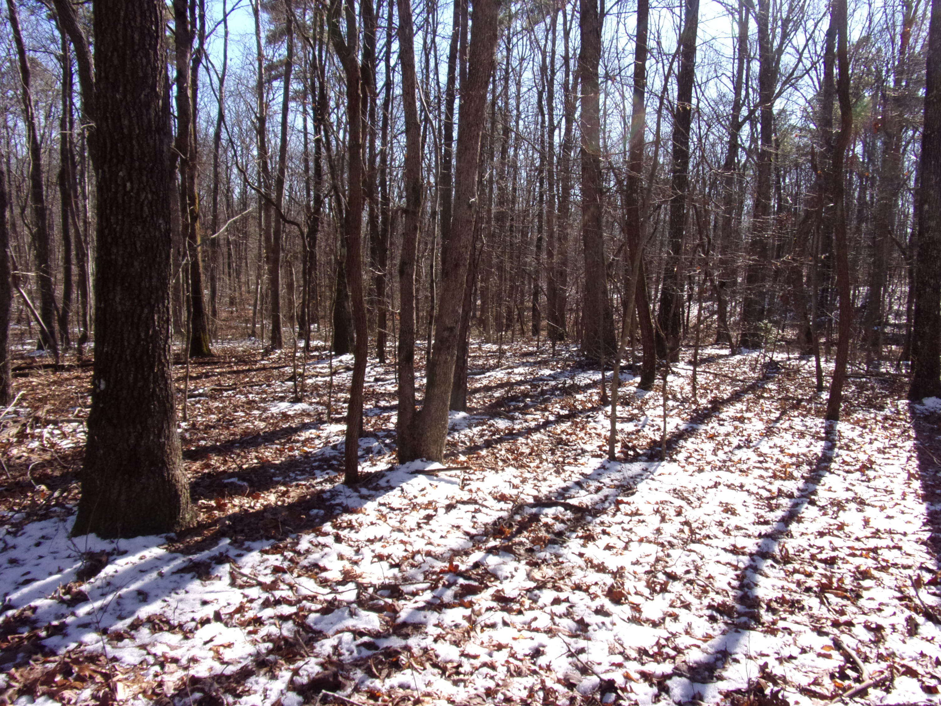 0 Lou Road, Unit 91 Pikeville, TN 37367 - Photo 15 of 16 101_1981