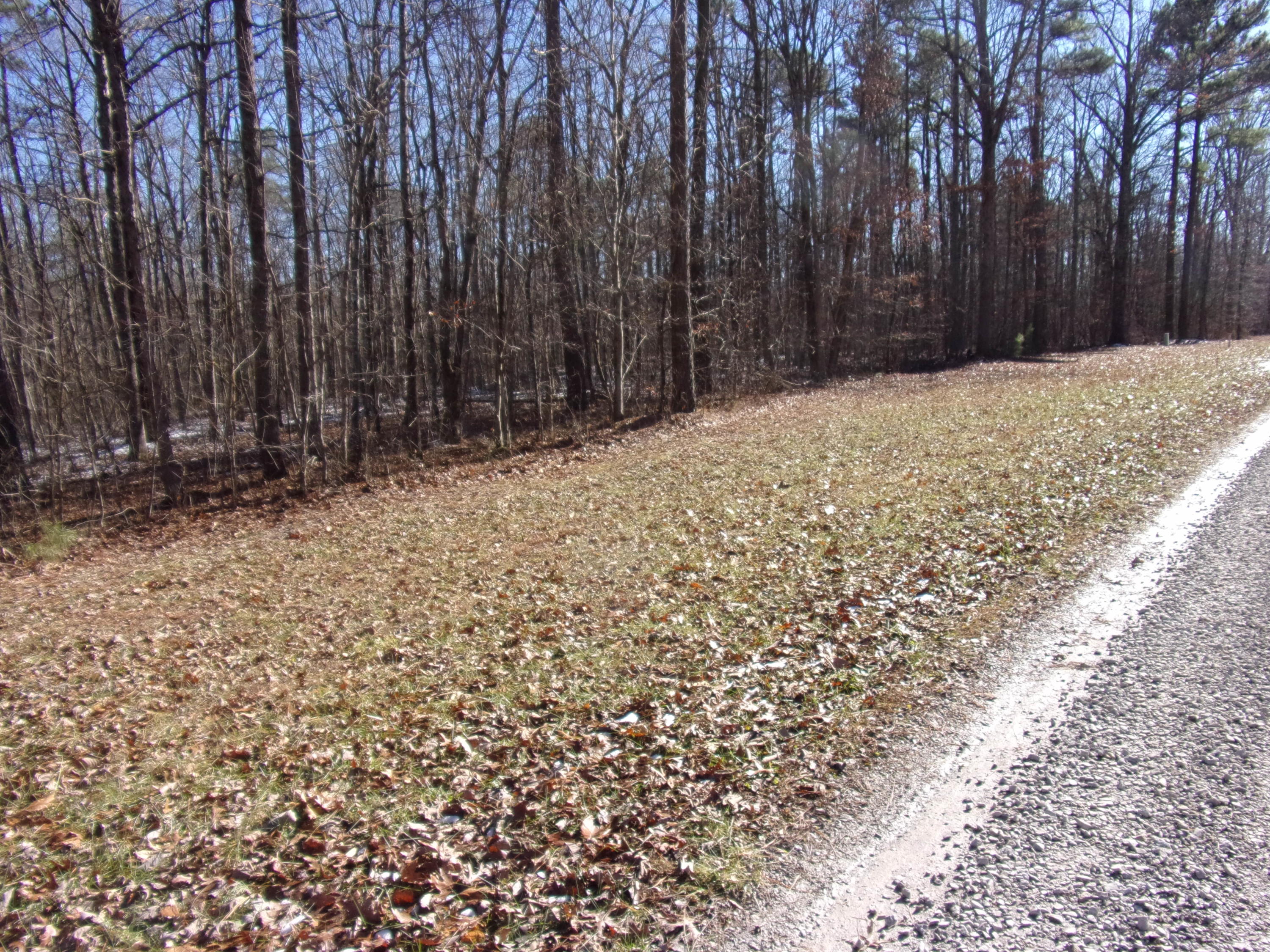 0 Lou Road, Unit 91 Pikeville, TN 37367 - Photo 3 of 16 101_1968