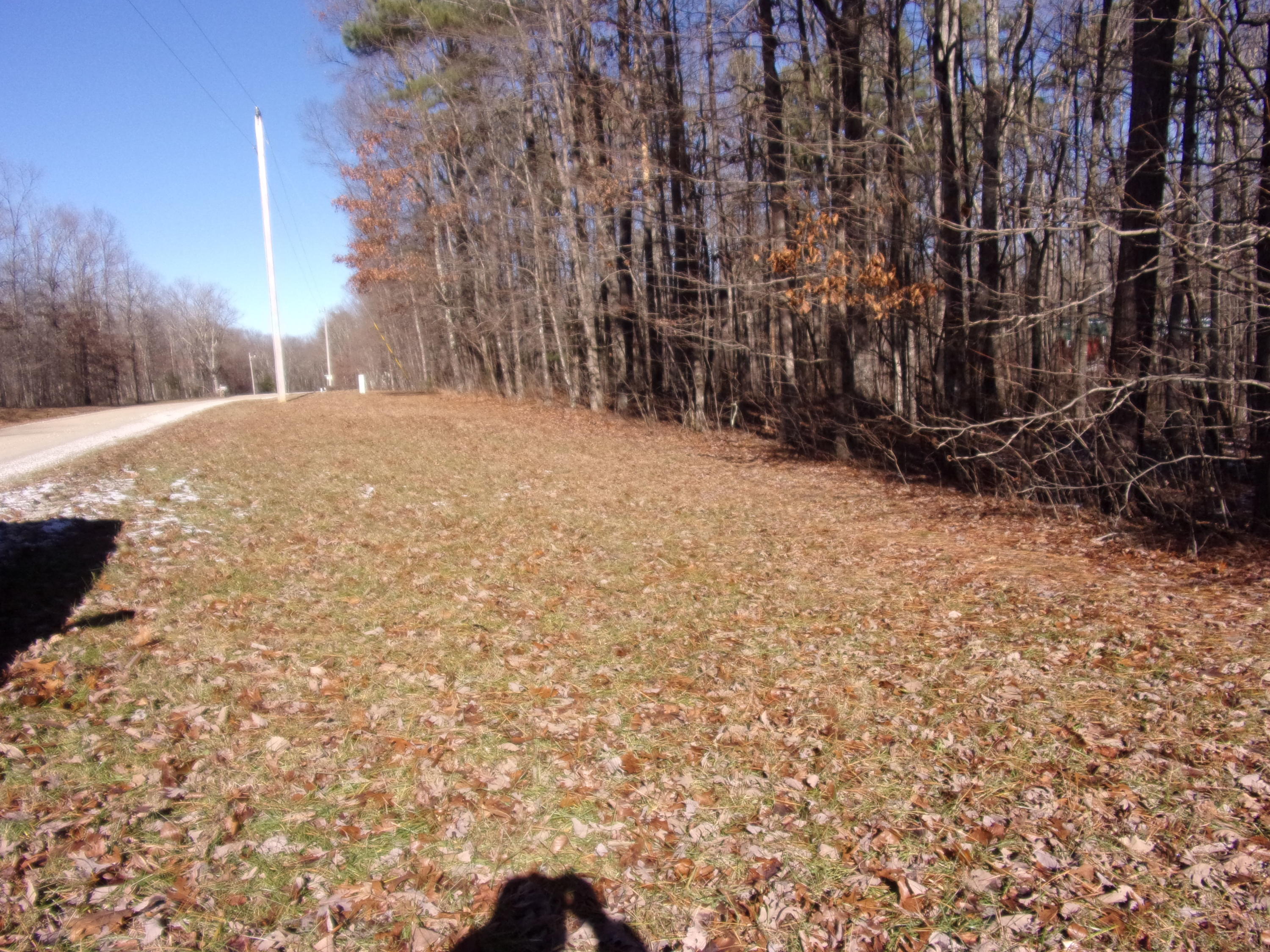 0 Lou Road, Unit 91 Pikeville, TN 37367 - Photo 4 of 16 101_1969