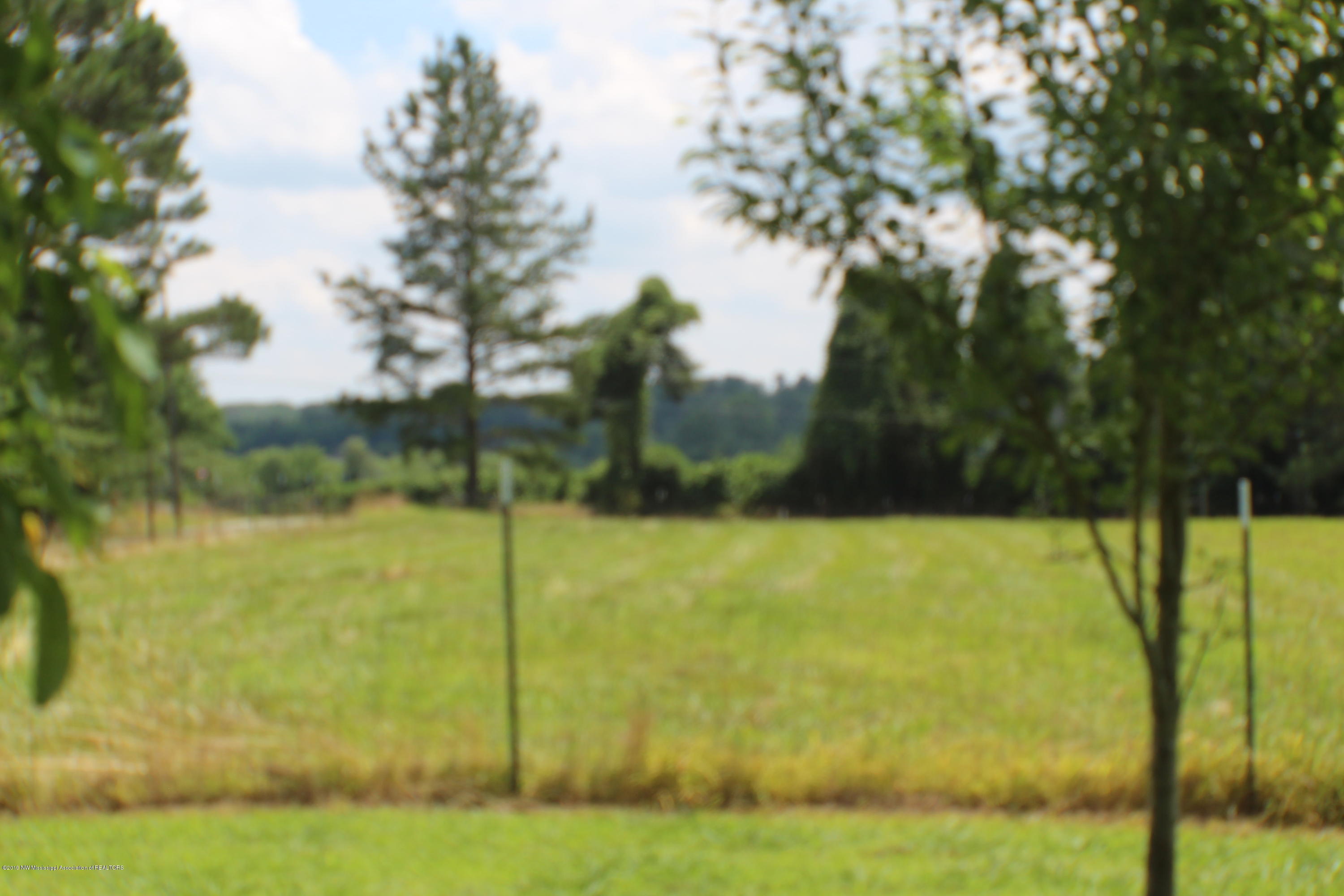 3070 Cleveland Road Hernando, MS 38632 - Photo 28 of 30 IMG_5845