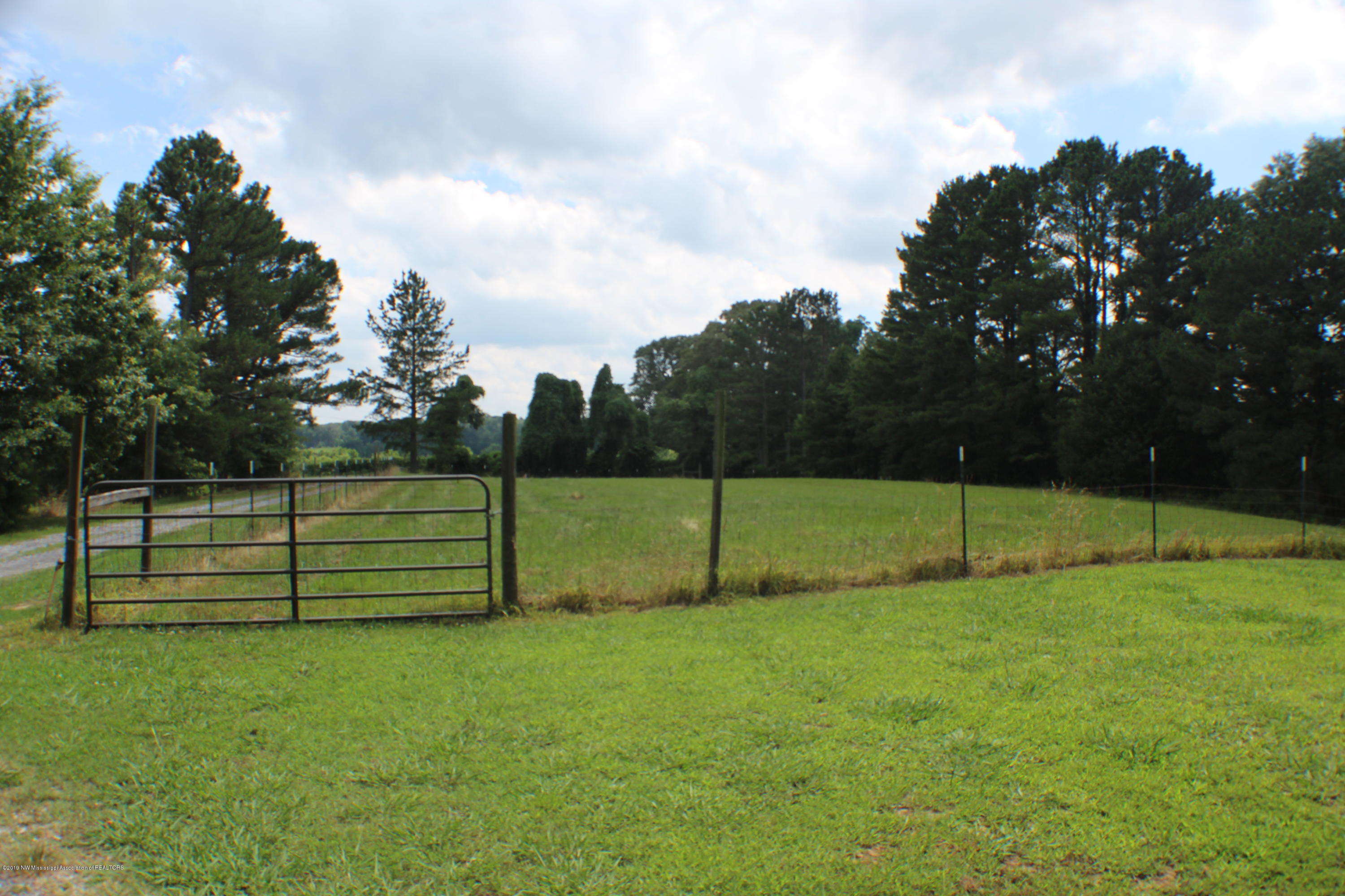 3070 Cleveland Road Hernando, MS 38632 - Photo 7 of 30 IMG_5846