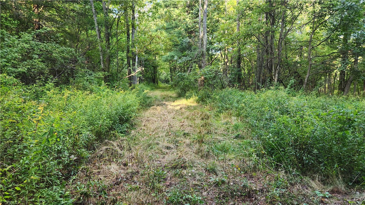 Longsdorf Road Naples, NY 14512 - Photo 11 of 35