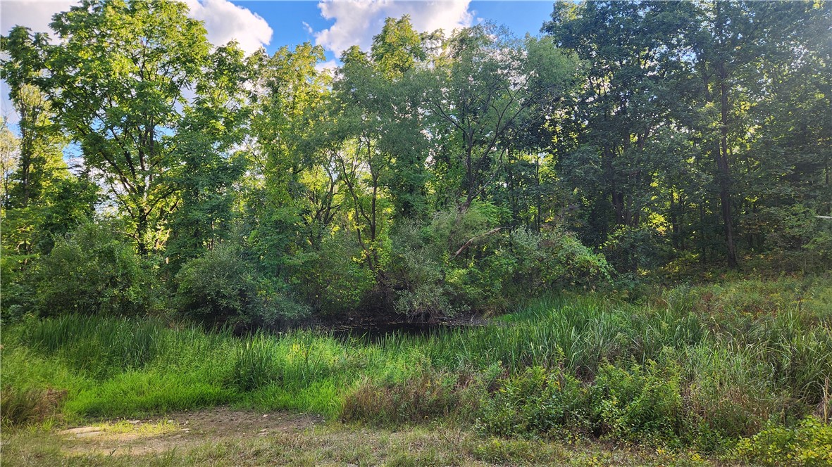 Longsdorf Road Naples, NY 14512 - Photo 15 of 35