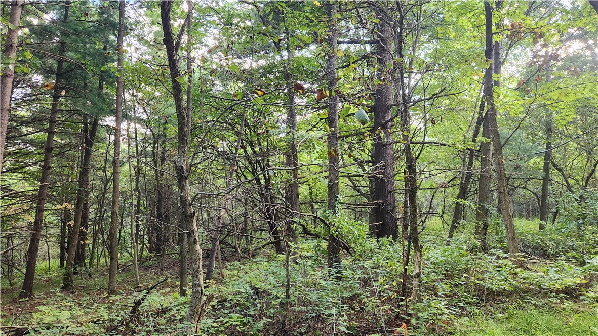 Longsdorf Road Naples, NY 14512 - Photo 18 of 35