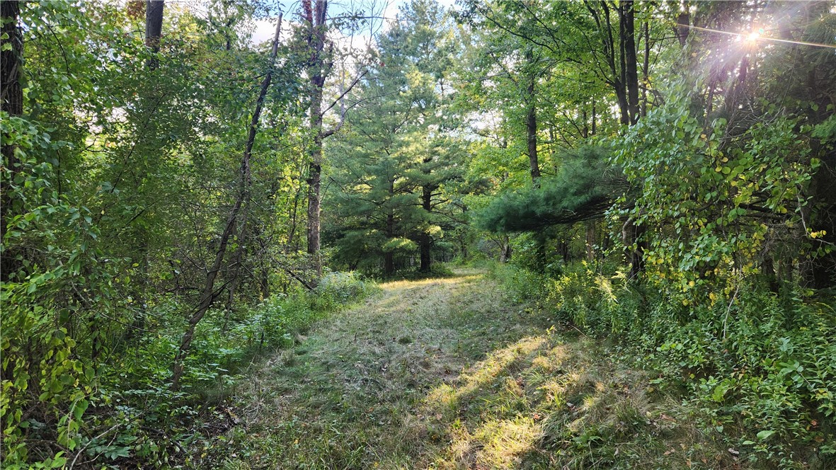 Longsdorf Road Naples, NY 14512 - Photo 20 of 35