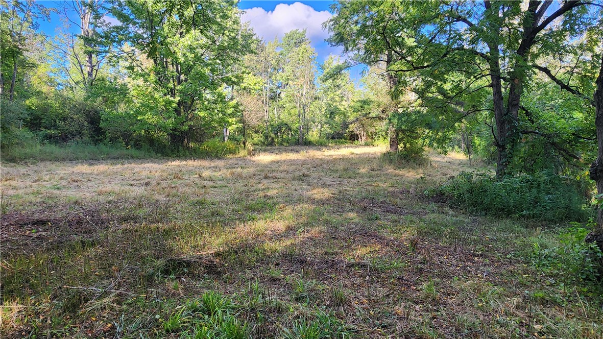 Longsdorf Road Naples, NY 14512 - Photo 2 of 35