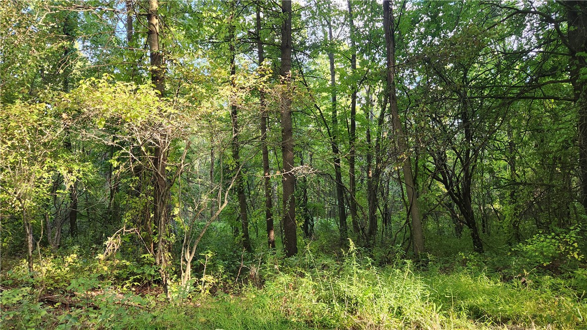 Longsdorf Road Naples, NY 14512 - Photo 22 of 35