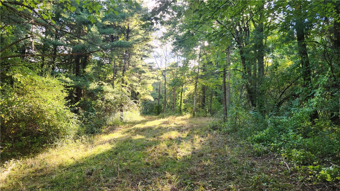 Longsdorf Road Naples, NY 14512 - Photo 23 of 35