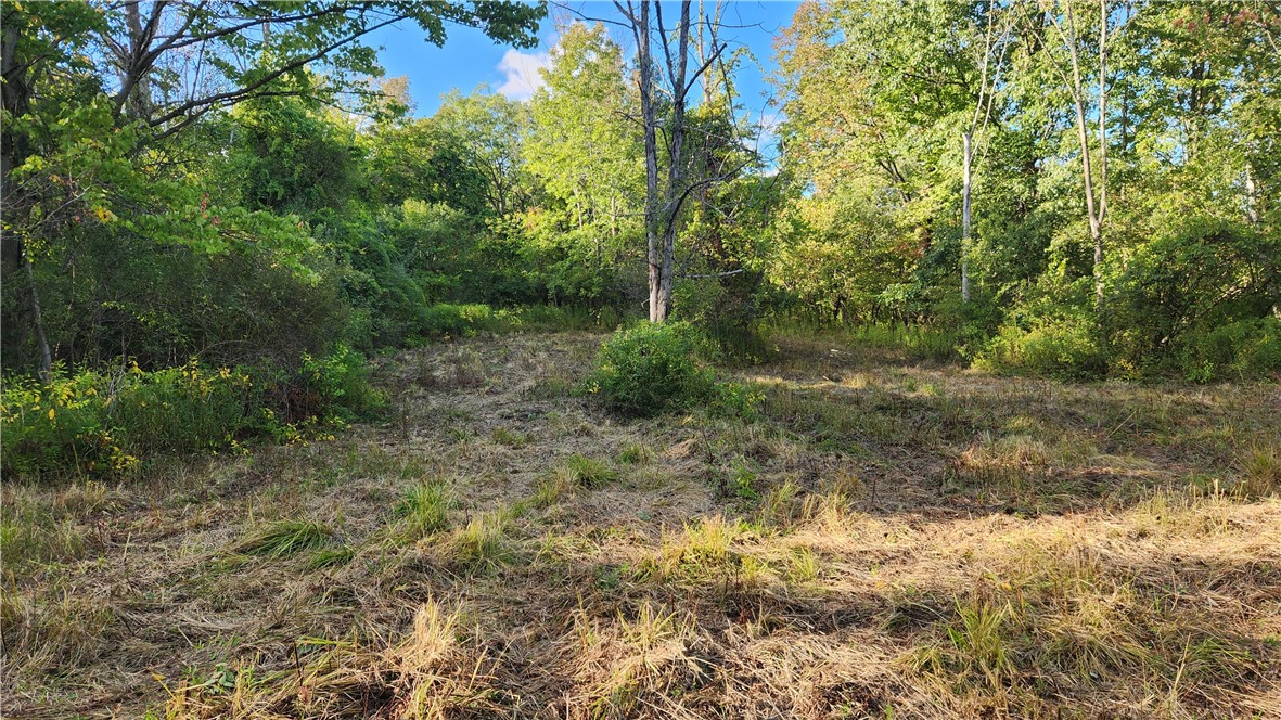 Longsdorf Road Naples, NY 14512 - Photo 27 of 35