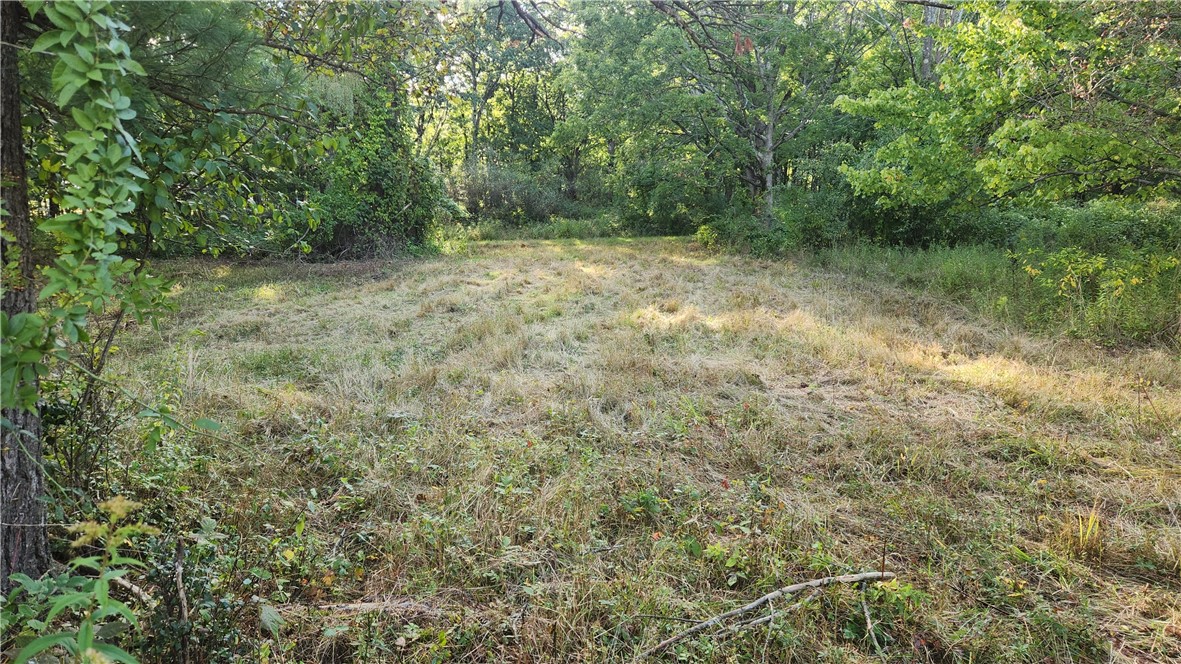 Longsdorf Road Naples, NY 14512 - Photo 28 of 35