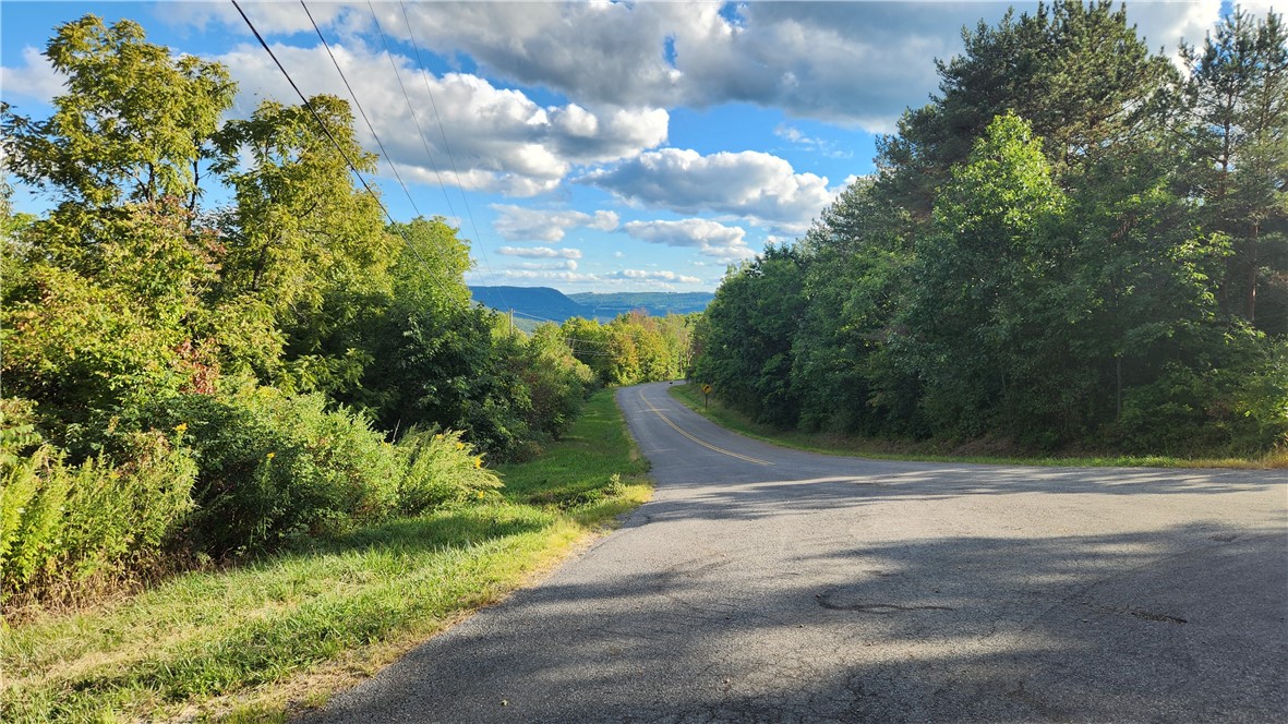 Longsdorf Road Naples, NY 14512 - Photo 29 of 35 Longsdorf Road in front of property