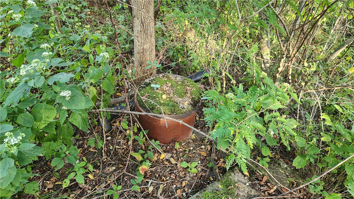 Longsdorf Road Naples, NY 14512 - Photo 31 of 35