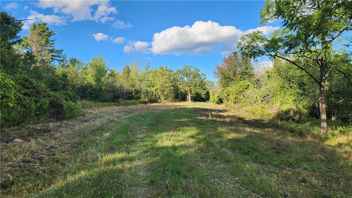 Longsdorf Road Naples, NY 14512 - Photo 4 of 35
