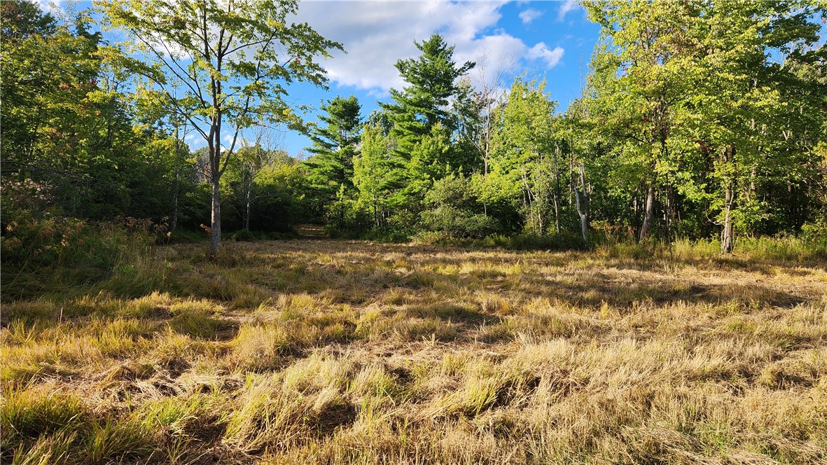 Longsdorf Road Naples, NY 14512 - Photo 5 of 35