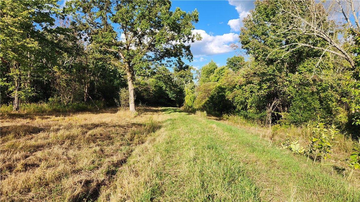 Longsdorf Road Naples, NY 14512 - Photo 6 of 35