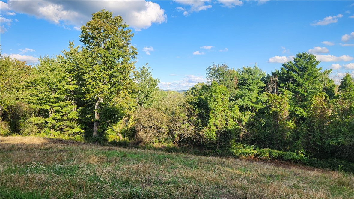 Longsdorf Road Naples, NY 14512 - Photo 7 of 35