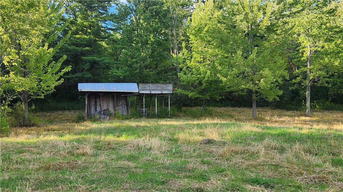 Longsdorf Road Naples, NY 14512 - Photo 9 of 35