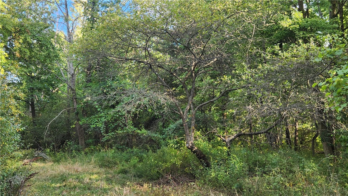 Longsdorf Road Naples, NY 14512 - Photo 10 of 35