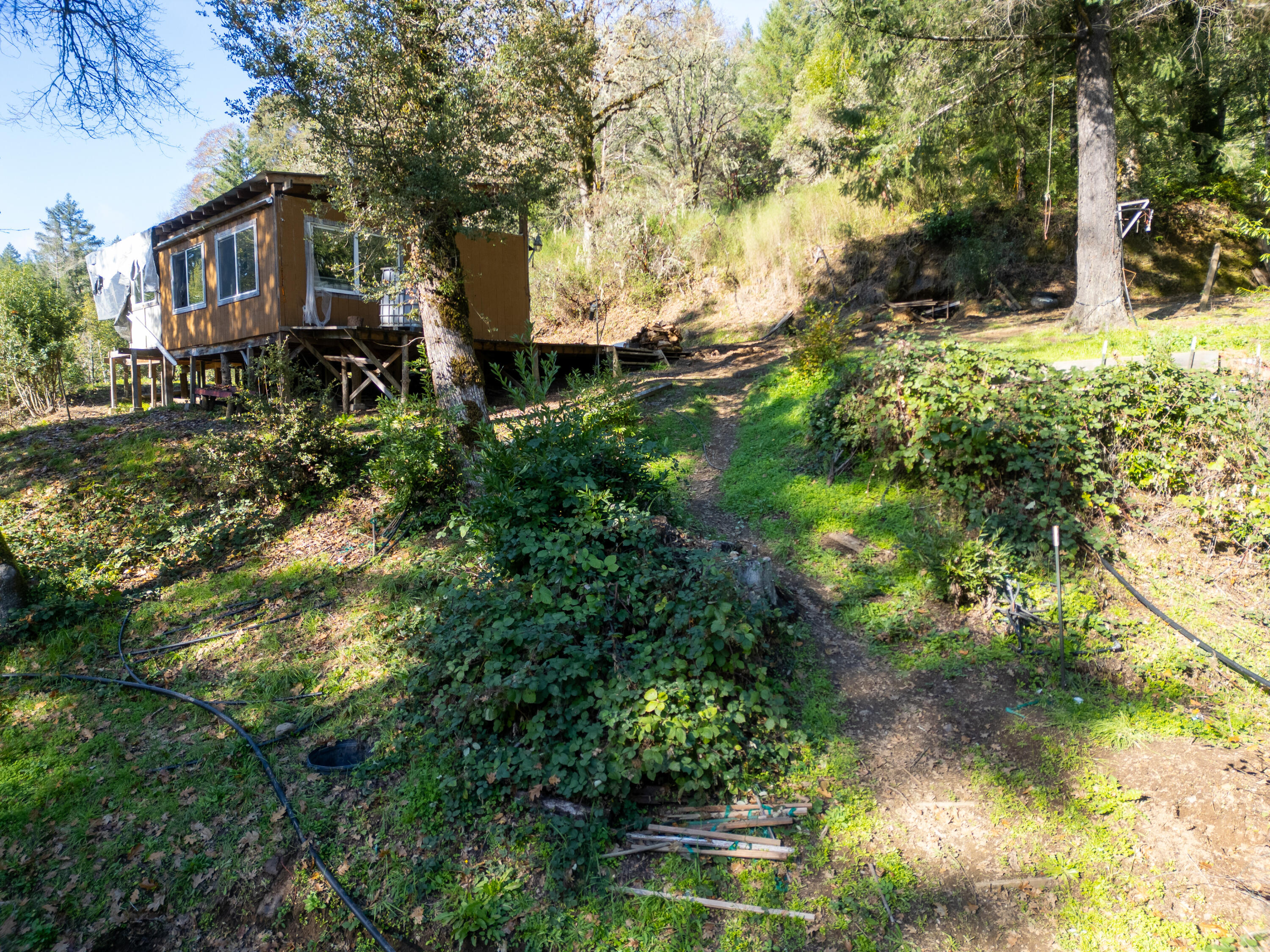 5200 Briceland Road Redway, CA 95560 - Photo 22 of 31