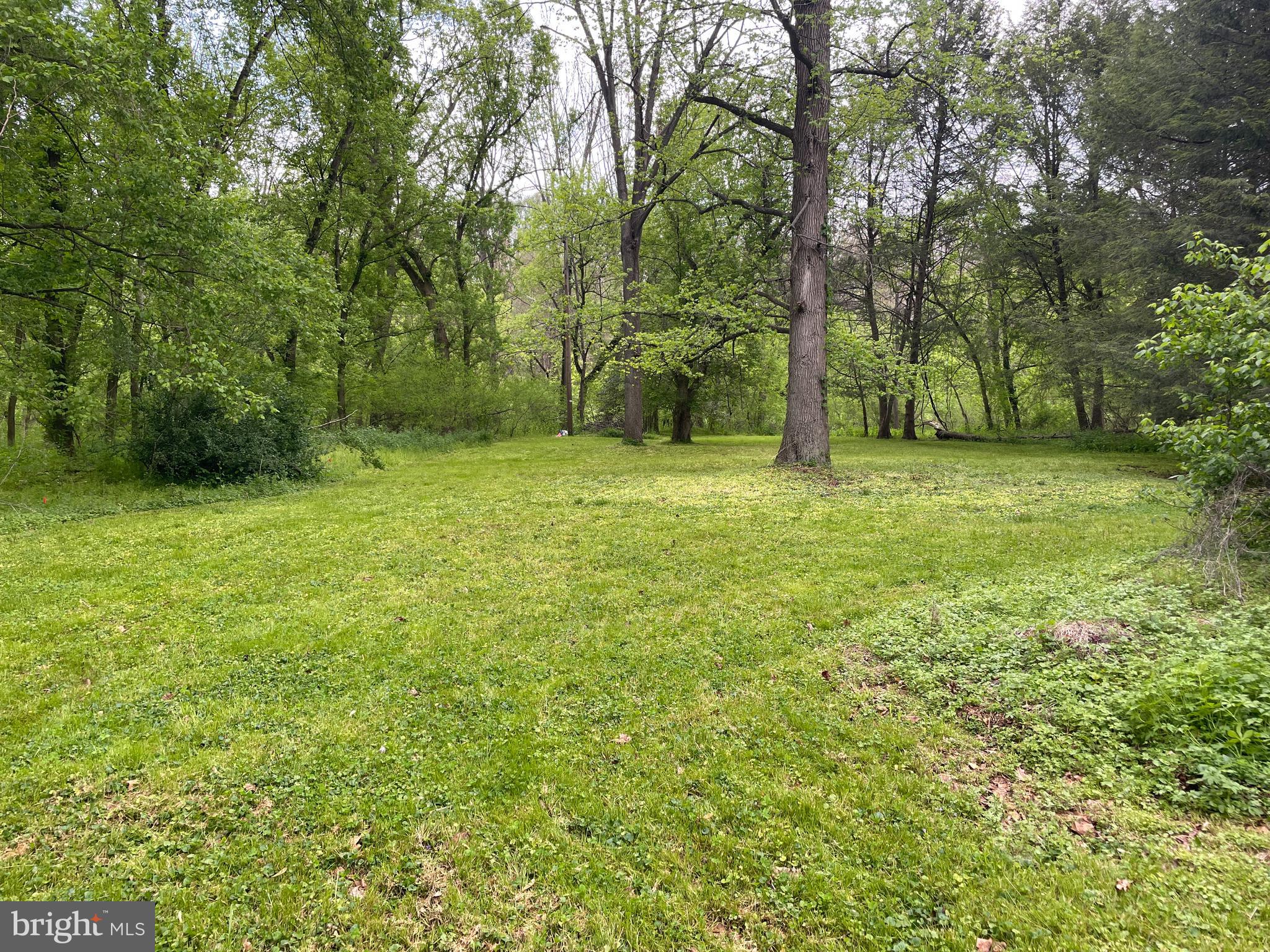 0 River Road Pequea, PA 17565 - Photo 25 of 28 a view of a field with trees in the background