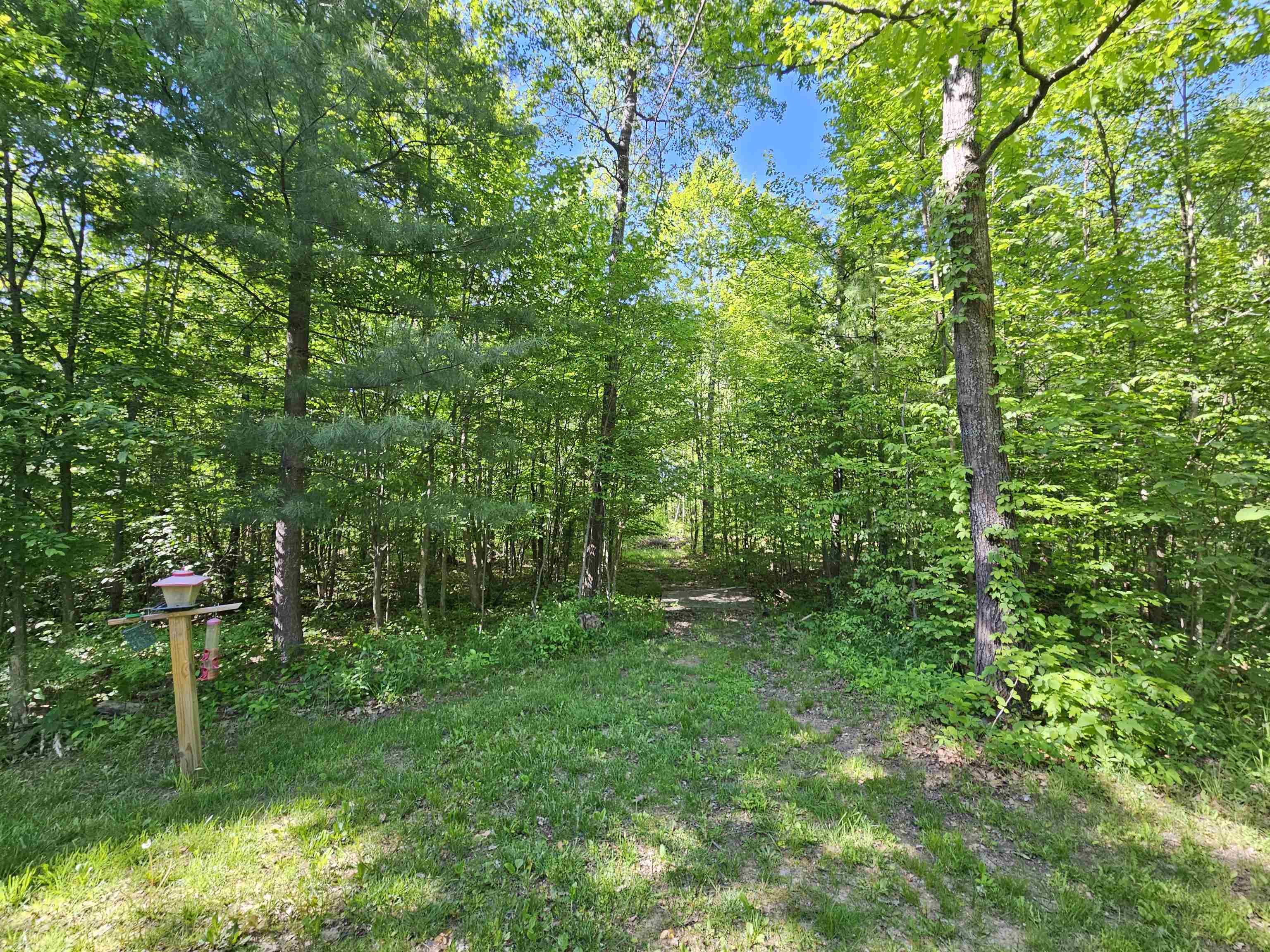 4985 Wilson Road Harrison, MI 48625 - Photo 29 of 31