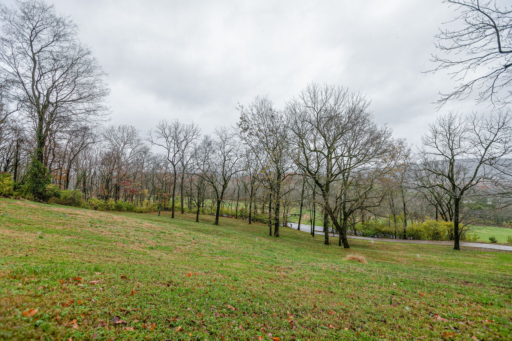 4311 Peytonsville-Trinity Road Franklin, TN 37064 - Photo 32 of 32 a view of a field with trees in the background