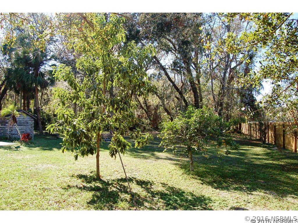 1862 Air Park Road Edgewater, FL 32141 - Photo 27 of 31 Gallery Image 27