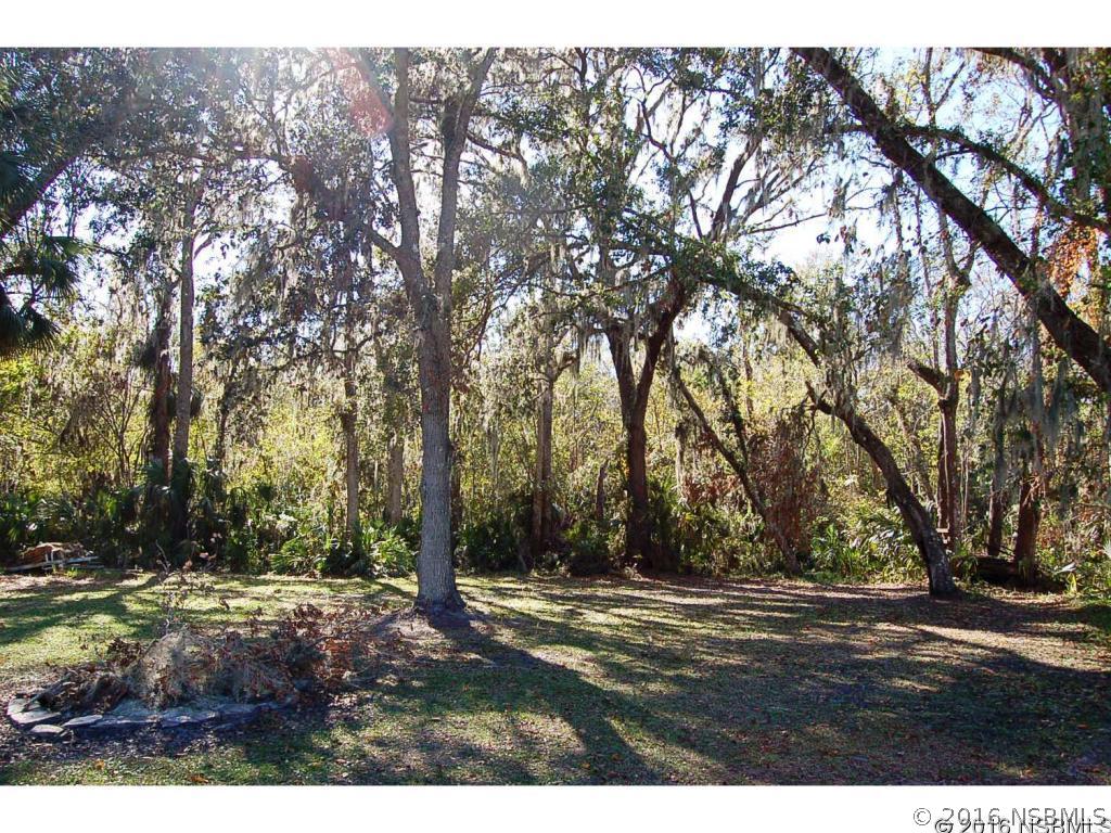 1862 Air Park Road Edgewater, FL 32141 - Photo 28 of 31 Gallery Image 28