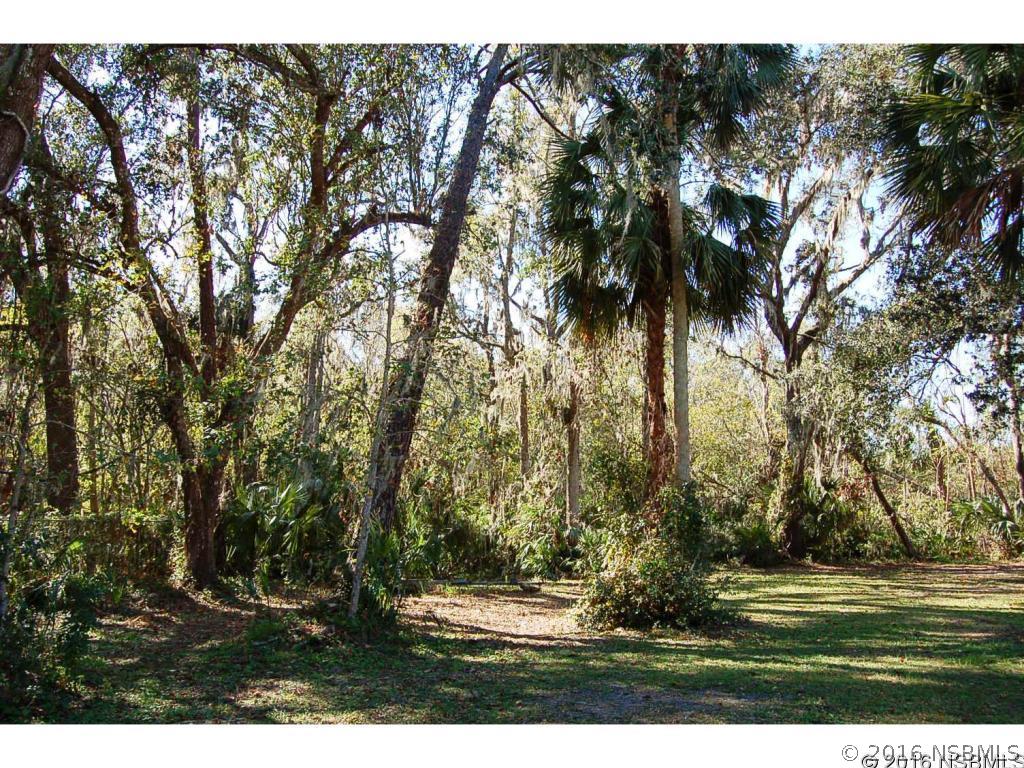 1862 Air Park Road Edgewater, FL 32141 - Photo 29 of 31 Gallery Image 29