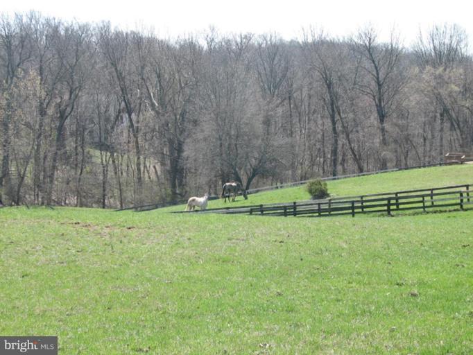 35183 Millville Road Middleburg, VA 20117 - Photo 14 of 14 Exterior (Rear)