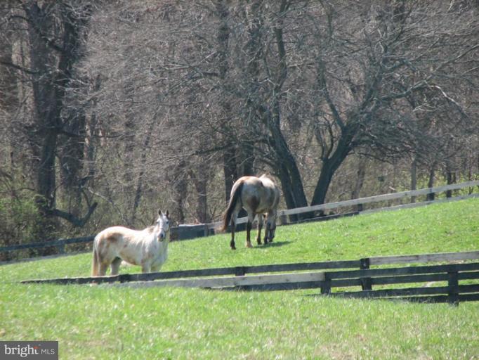 35183 Millville Road Middleburg, VA 20117 - Photo 8 of 14 Pasture