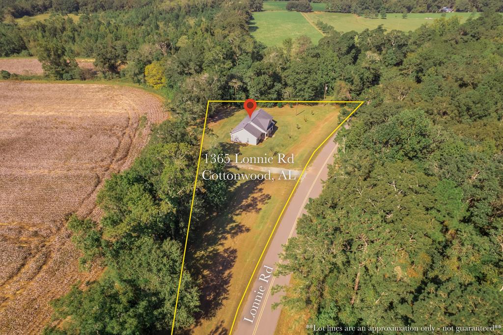 1365 Lonnie Road Slocomb, AL 36375 - Photo 2 of 53