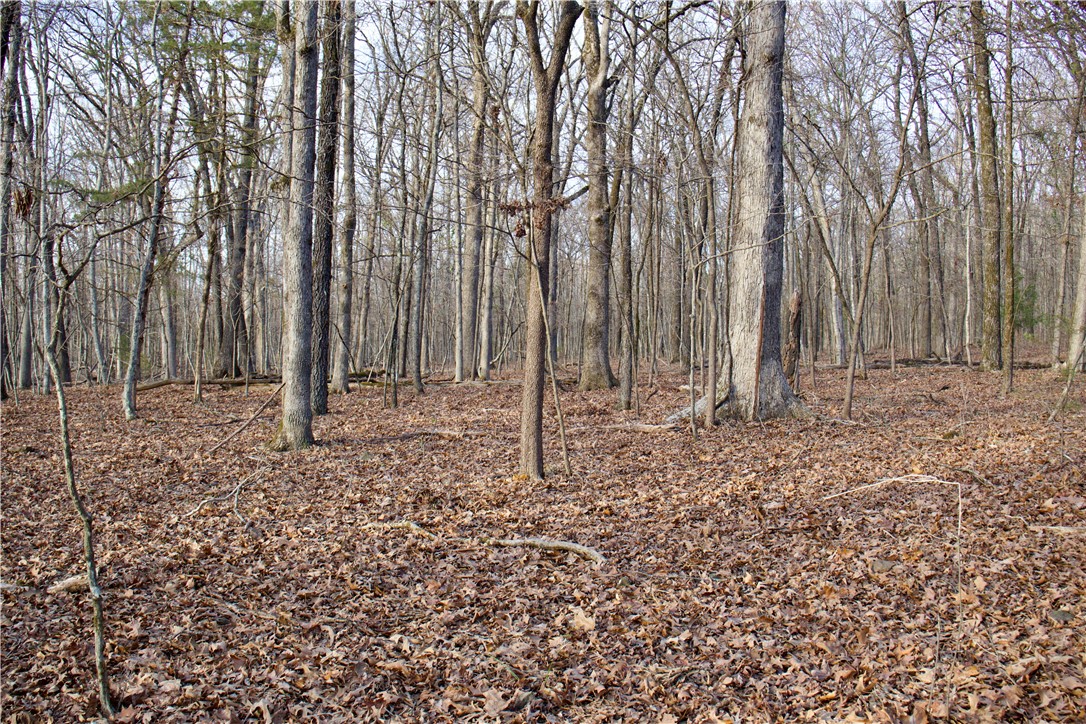 22.37 /- Acres Price Road Winslow, AR 72959 - Photo 18 of 60 Gallery Image 18