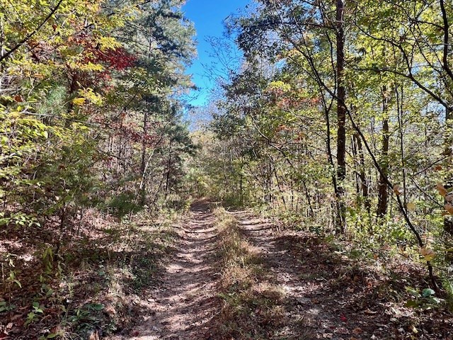 Tbd Upper Peachtree Road Murphy, NC 28906 - Photo 13 of 17