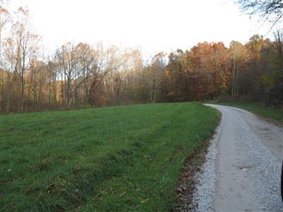 1111 Bowman Springs Road Wallingford, KY 41093 - Photo 3 of 7 Photo 3
