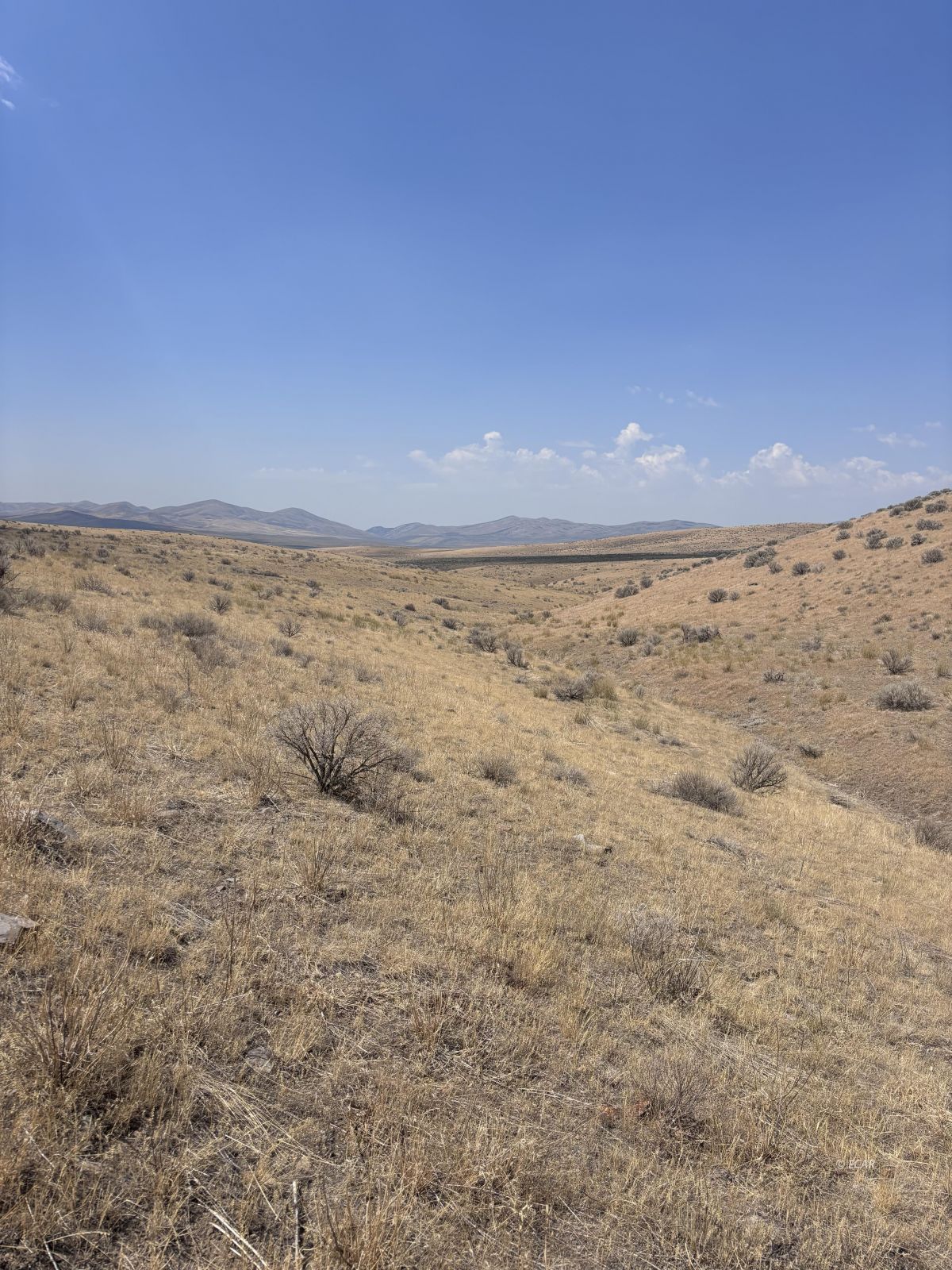40 North Rge Mdb&m Wells Wells, NV 89835 - Photo 3 of 18