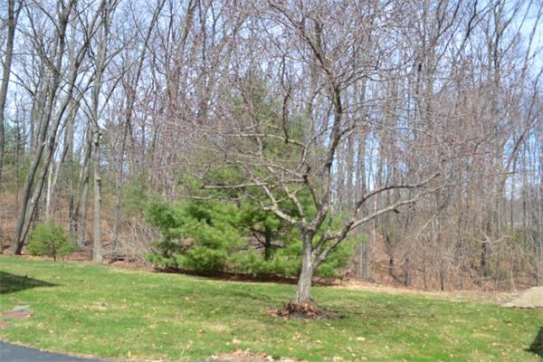 9 Lexington Road Northborough, MA 01532 - Photo 3 of 25 Gallery Image 3