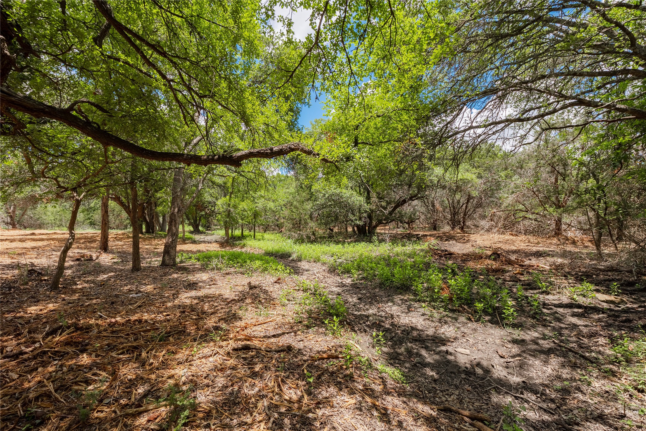 a view of backyard with green space