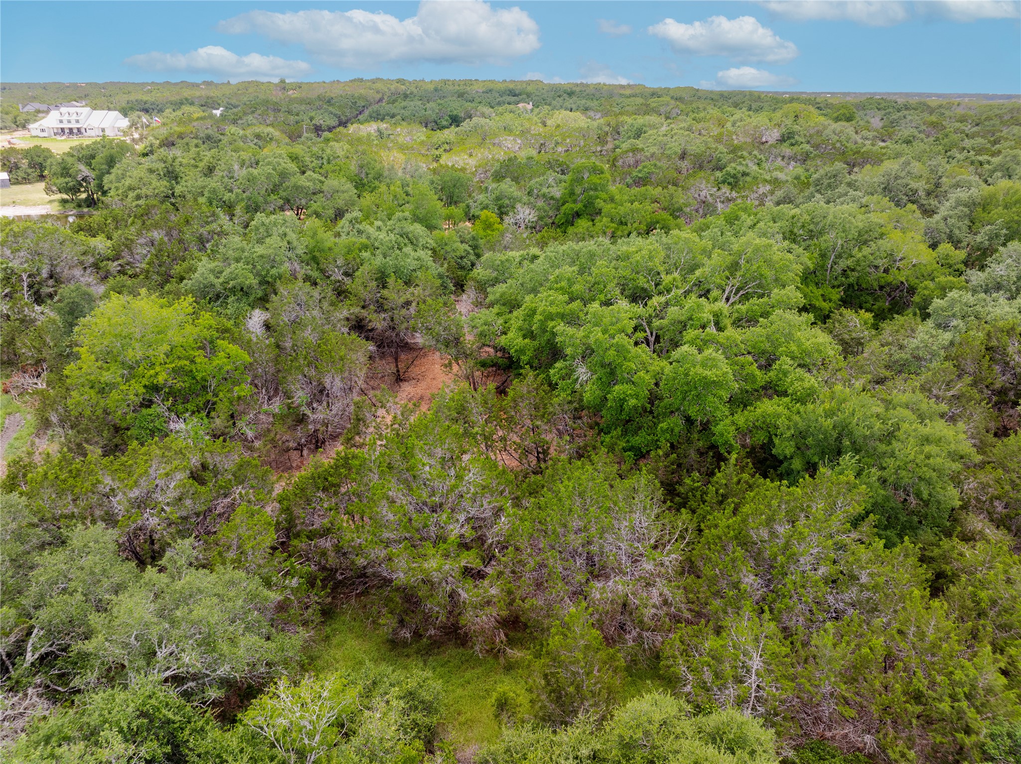 250 East Ridgewood Road Georgetown, TX 78633 - Photo 11 of 15 a view of a big yard with plants and large trees