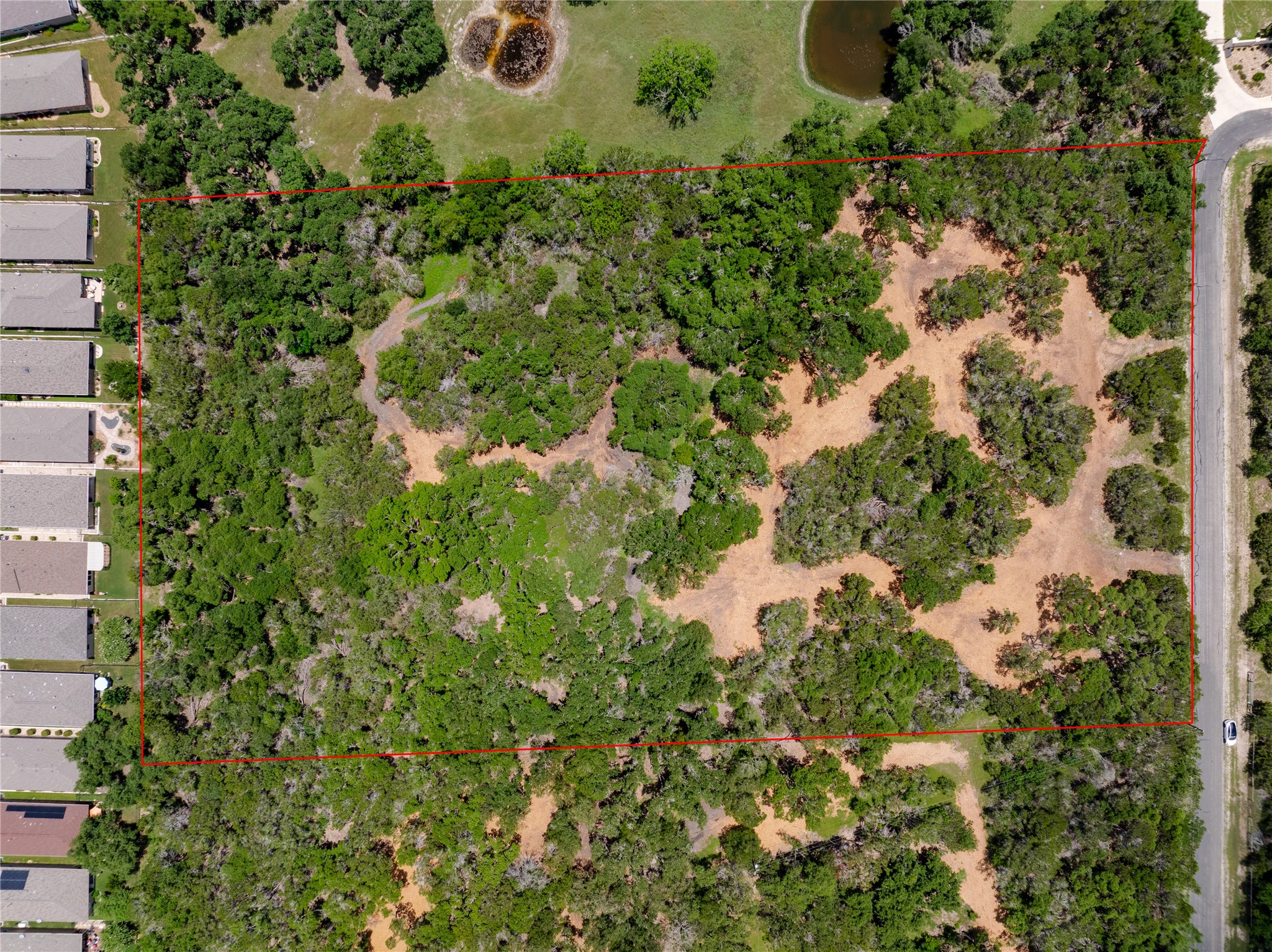 250 East Ridgewood Road Georgetown, TX 78633 - Photo 12 of 15 a picture of flowers