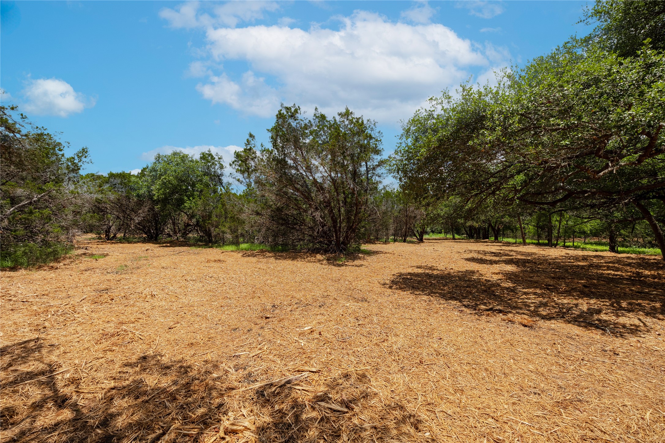 250 East Ridgewood Road Georgetown, TX 78633 - Photo 2 of 15 a view of empty space with green space