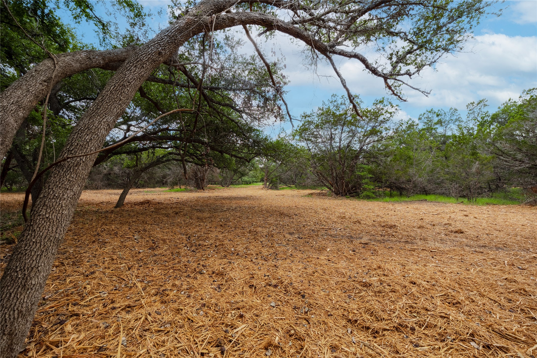 250 East Ridgewood Road Georgetown, TX 78633 - Photo 5 of 15 a view of outdoor space and yard