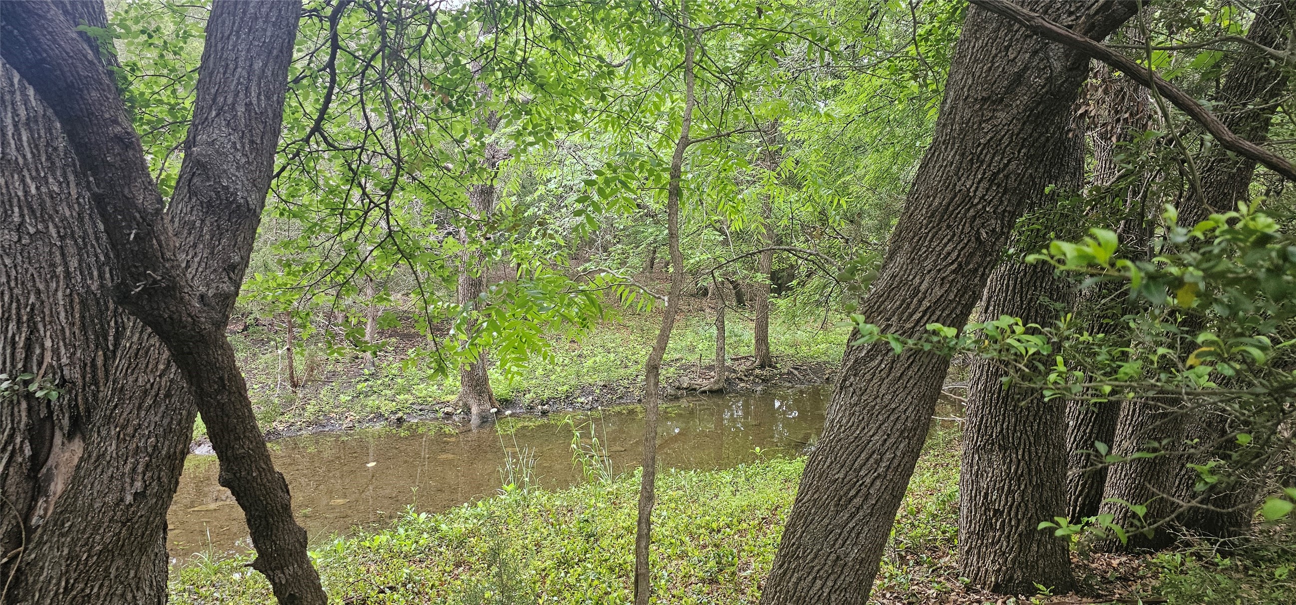 250 East Ridgewood Road Georgetown, TX 78633 - Photo 9 of 15 a view of lake from a yard