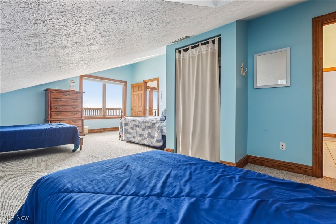 337 Cedar Point Road Sandusky, OH 44870 - Photo 25 of 50 Carpeted bedroom featuring a textured ceiling and lofted ceiling