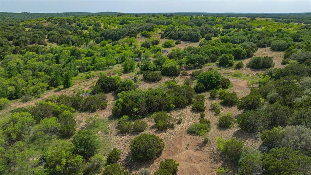 136 Moose Trail Ranger, TX 76470 - Photo 27 of 40 an aerial view of a house with a lush green forest