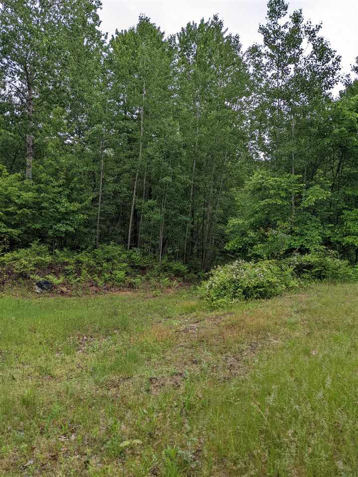 1760 West Townline 16 Road Pinconning, MI 48650 - Photo 10 of 16 Gallery Image 10
